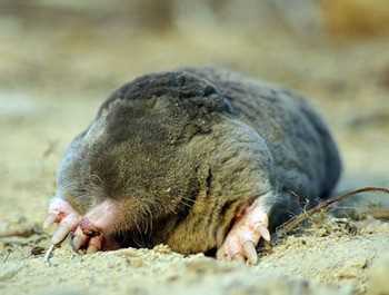 5. Конфликты с другими группами